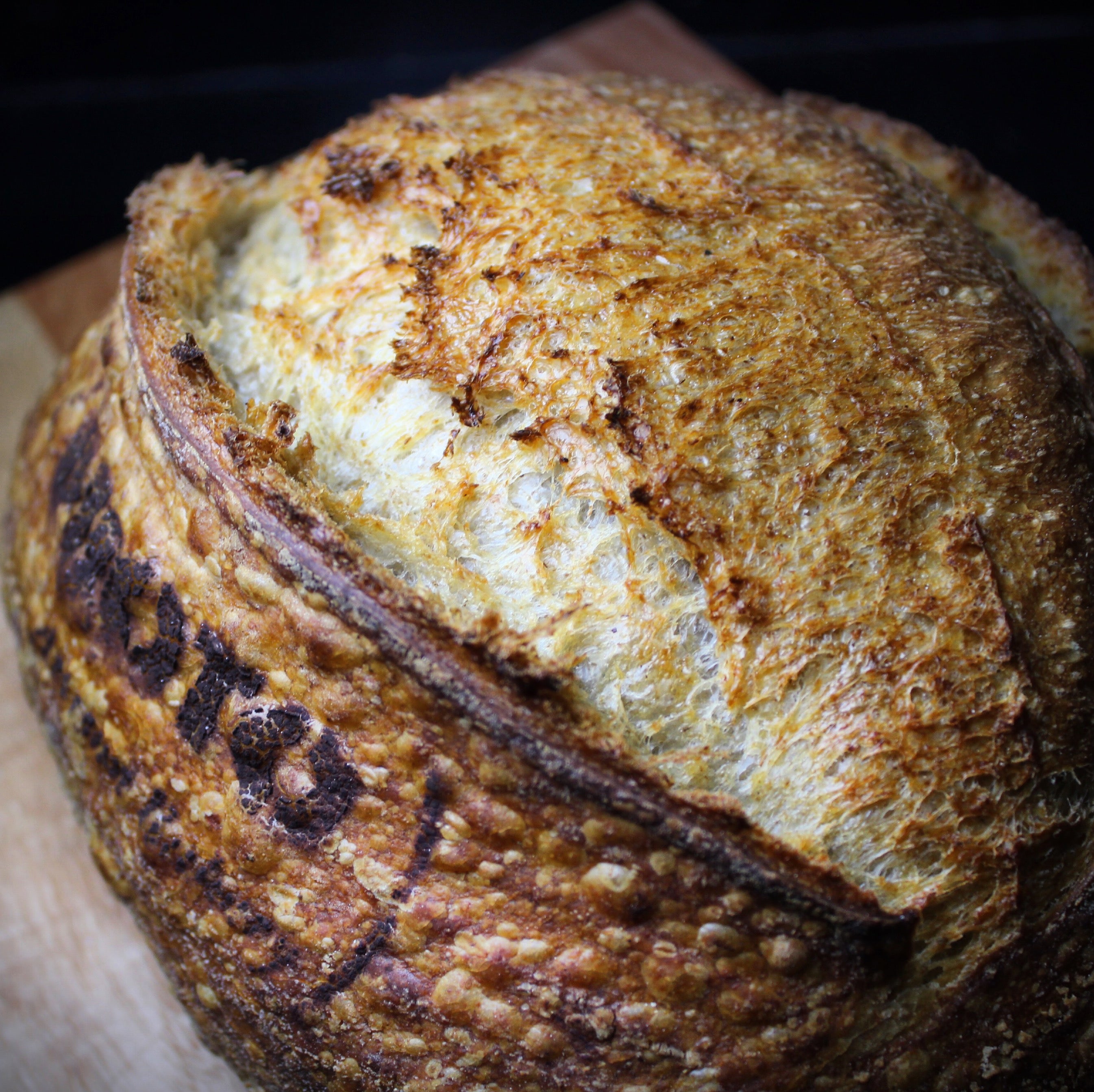 SOURDOUGH & BREAD