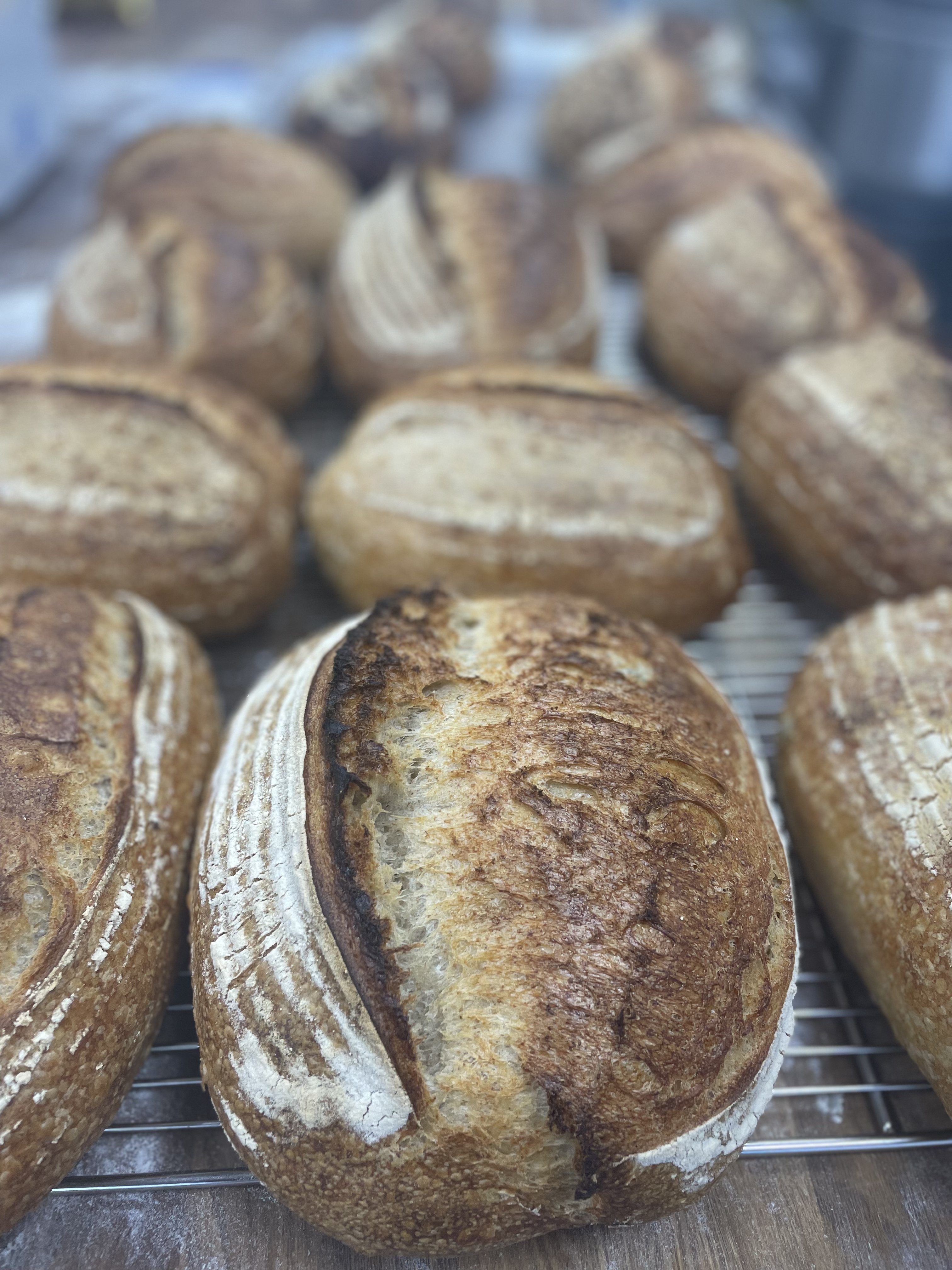 Organic Sourdough Loaf