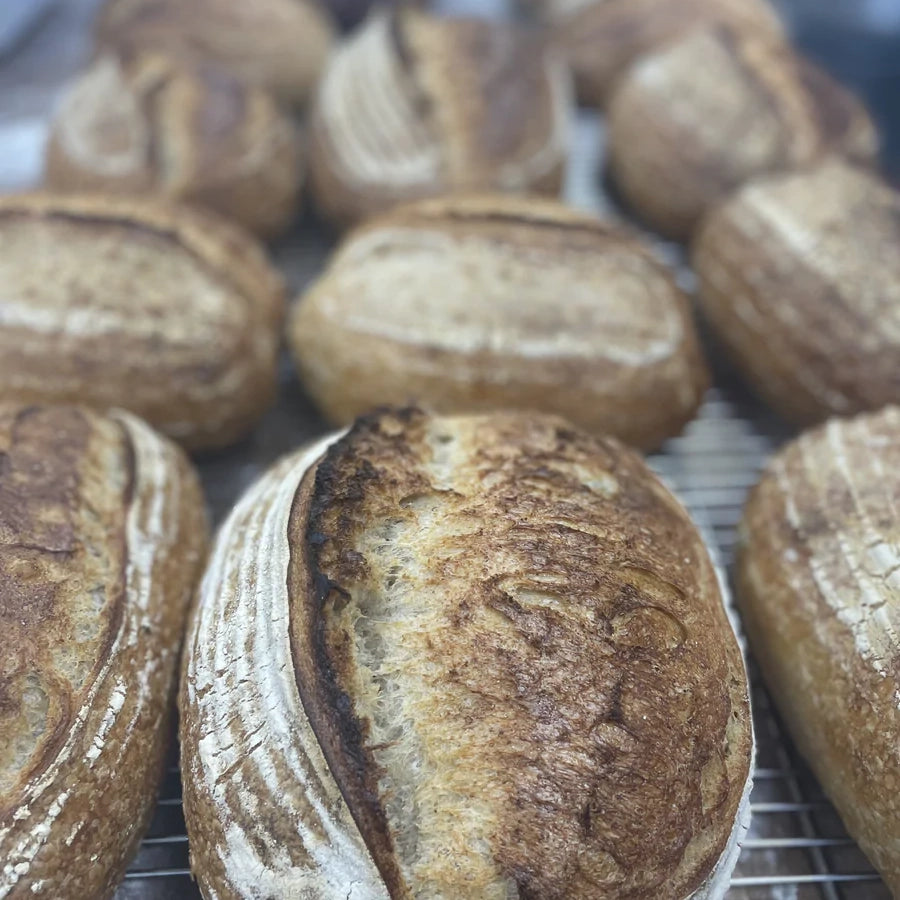 Big 100% White Sourdough Loaf